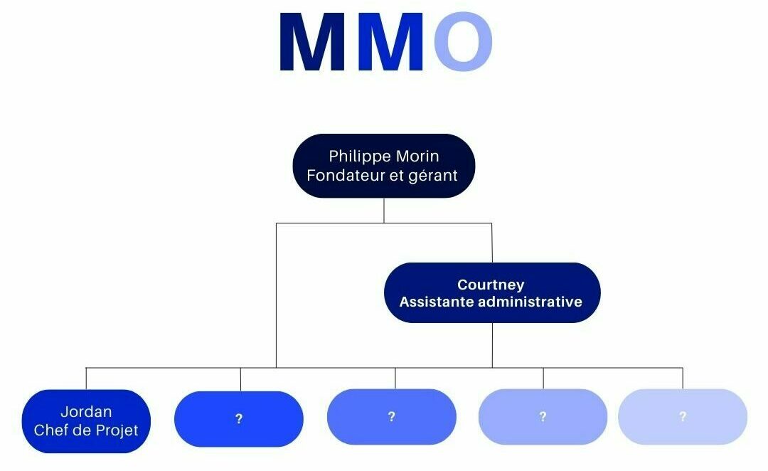 Découvrez les missions de l'équipe MMO