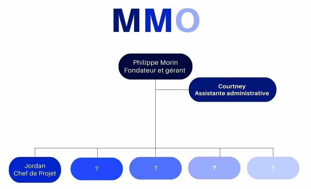 Mission MMO Organigramme