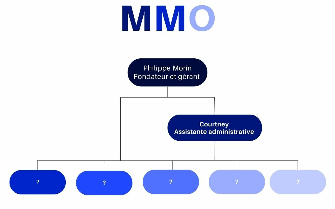 Découvrez les missions de l'équipe MMO