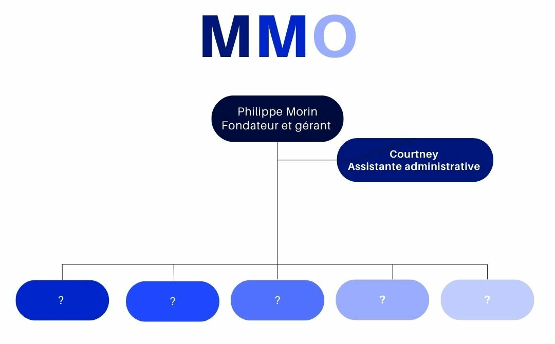 Mission MMO Organigramme